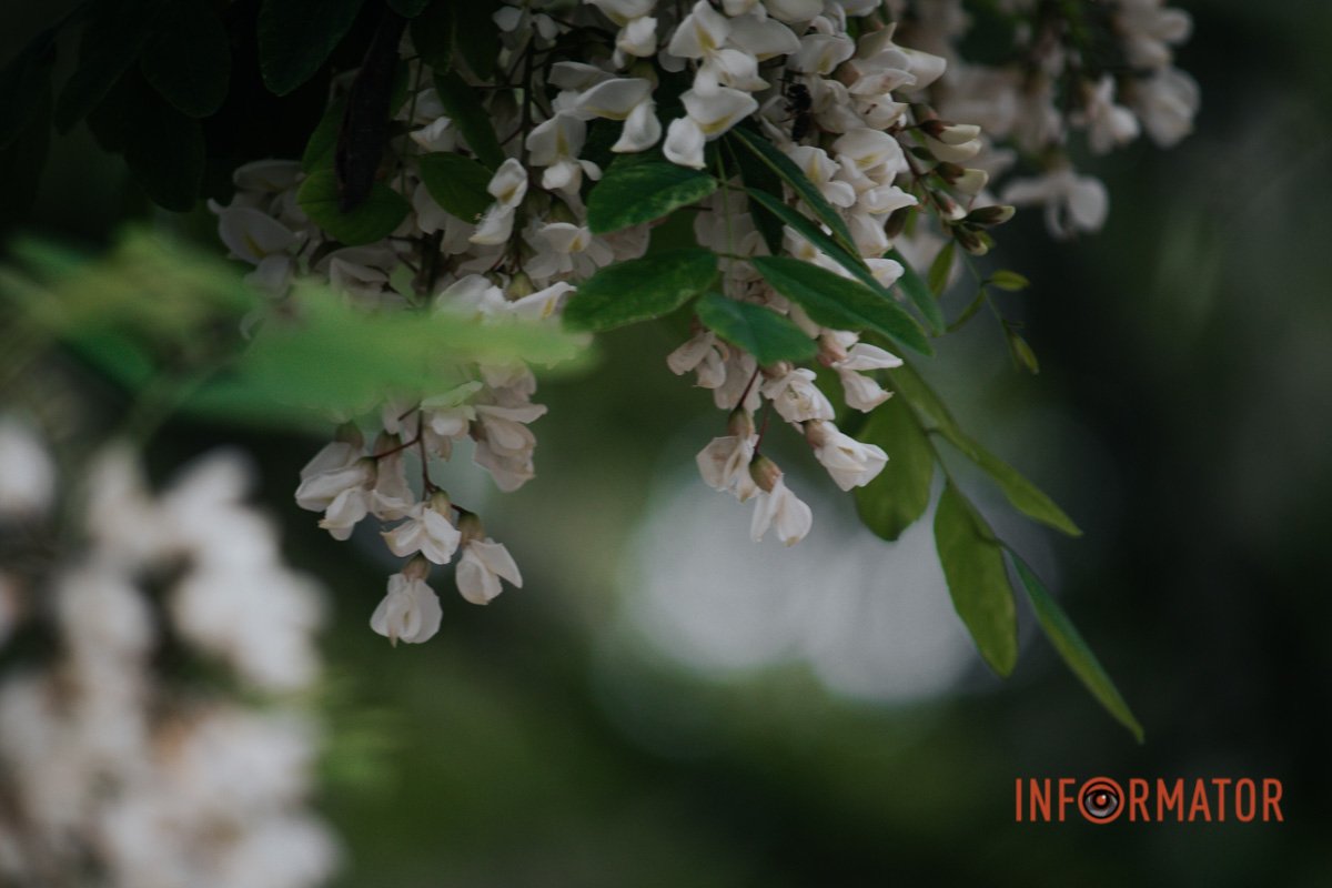 Ракурс Ракурс