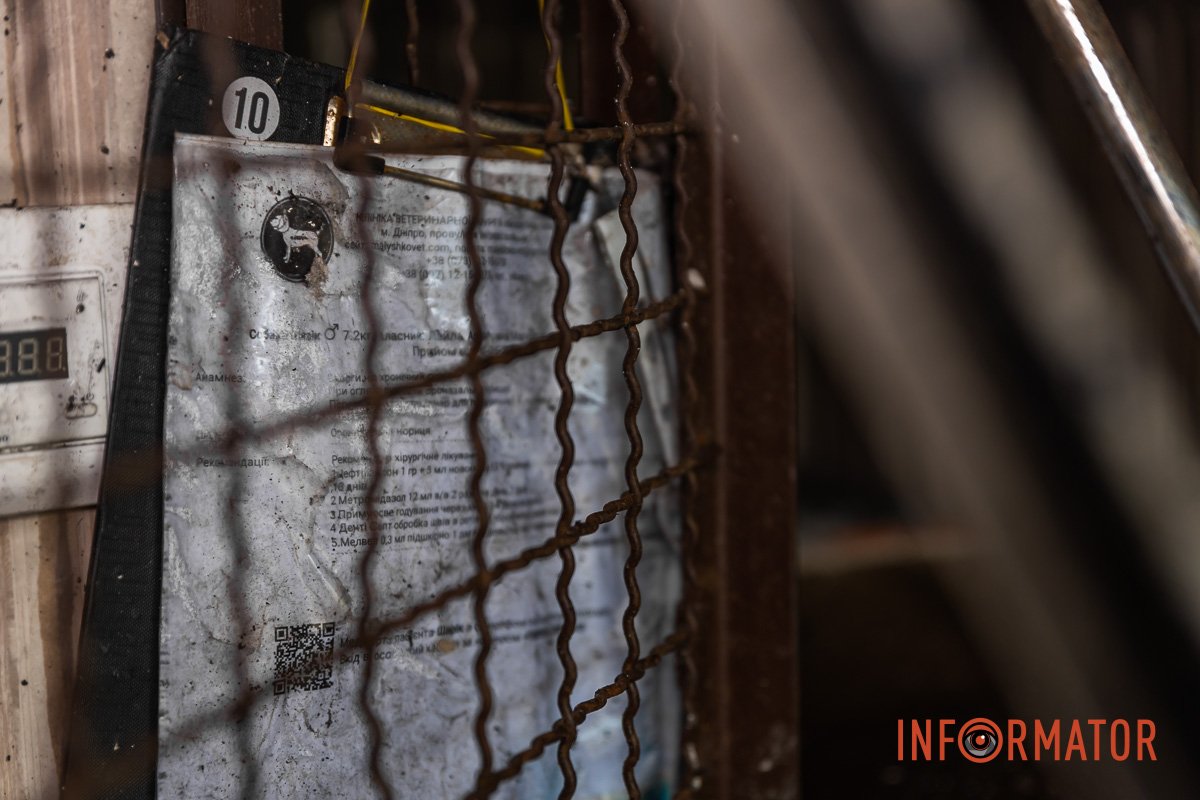 Фото: Дмитро Федоров Фото: Дмитро Федоров