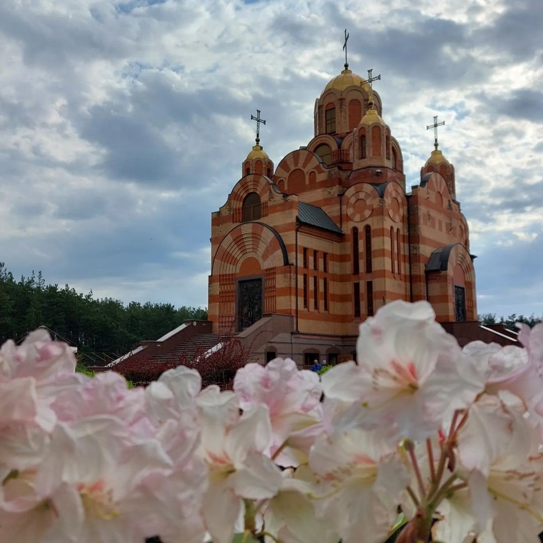 @viktoria8vorobyova @viktoria8vorobyova