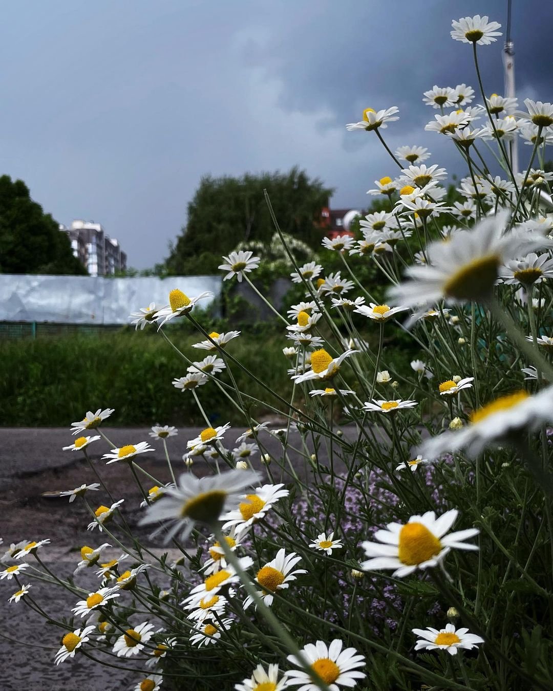 @kseniia_safron @kseniia_safron