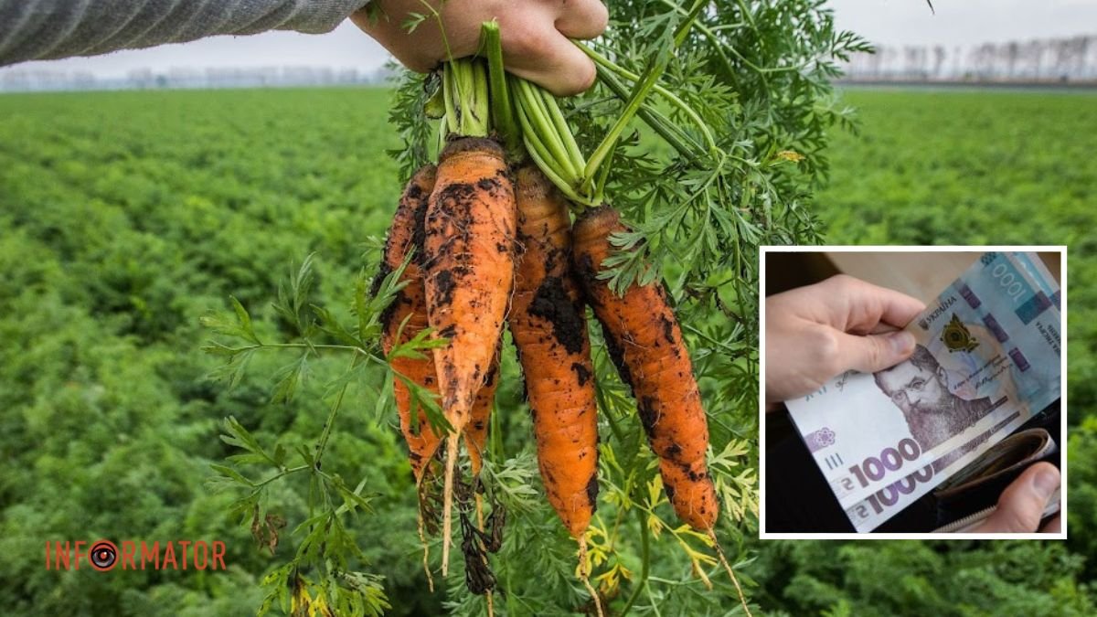 В Україні стрімко зросла вартість моркви: яка причина та чого надалі очікувати від цін