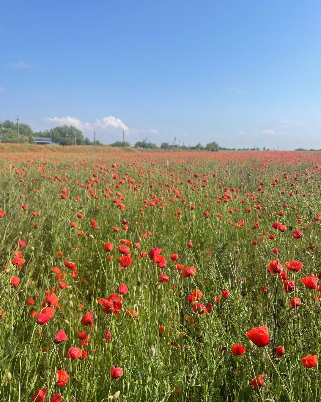 @to_live_playing @to_live_playing