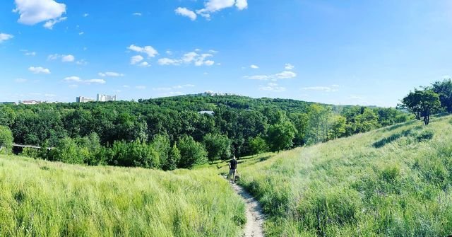 @argentum_p @argentum_p