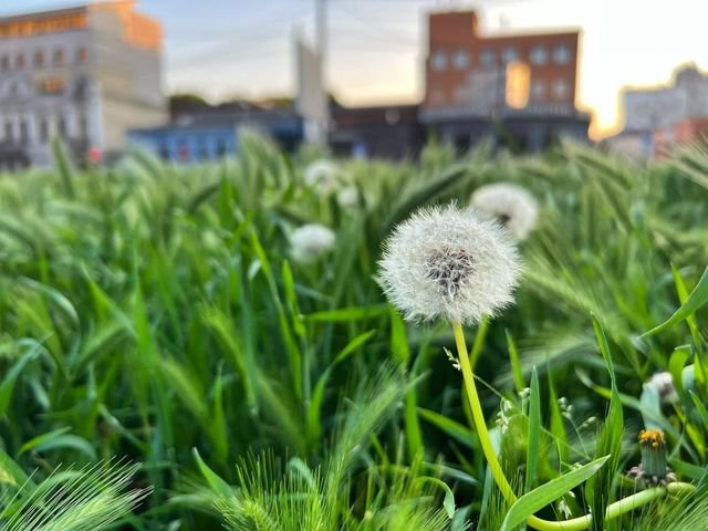 @frenzysharky42 @frenzysharky42