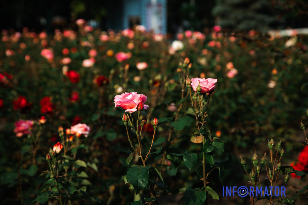 Фото: Владислав Степанов