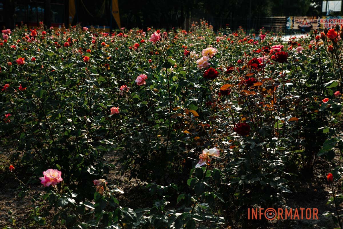 Дніпро - прекрасне місто