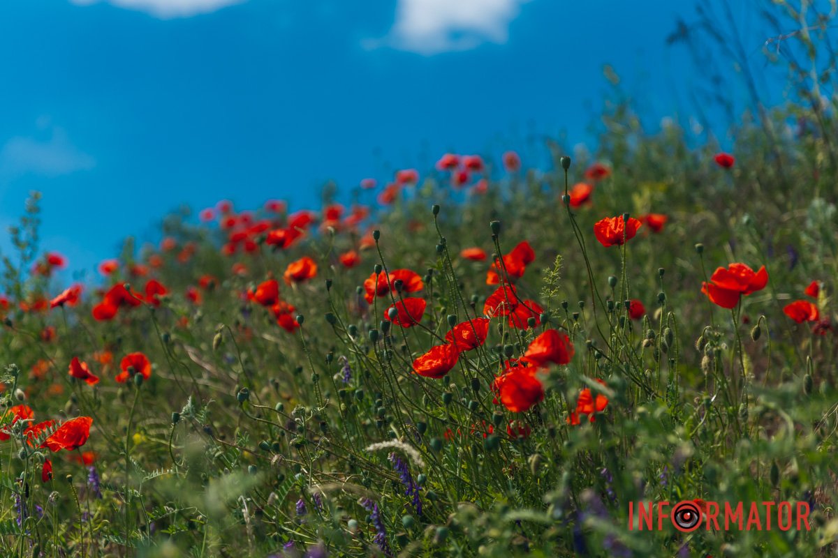 Мріємо про мирне небо