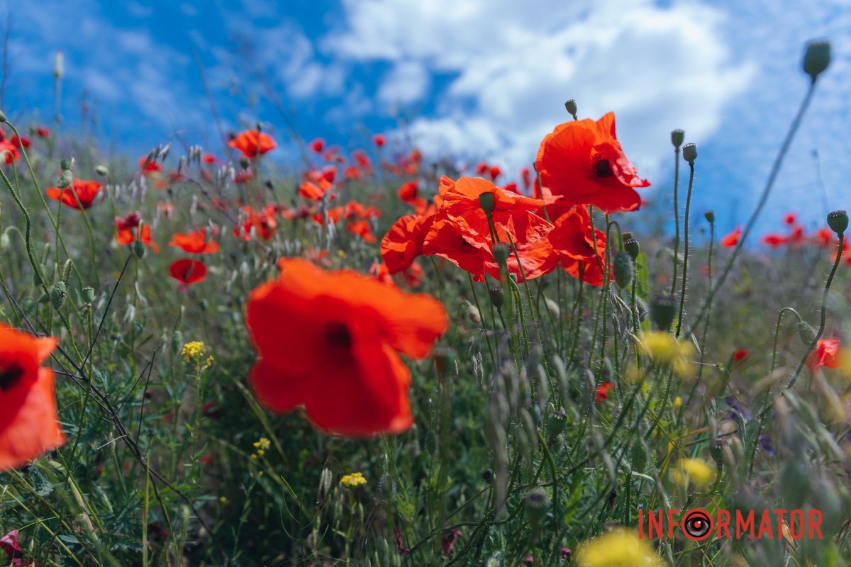 Хочеться насолодитися моментом