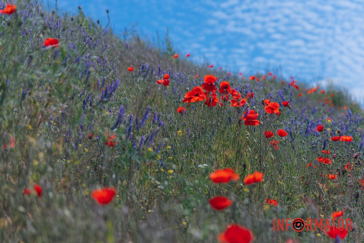 Схоже на море