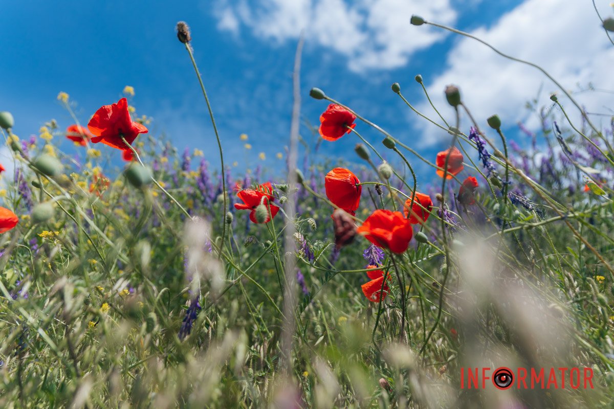 Чудовий кадр