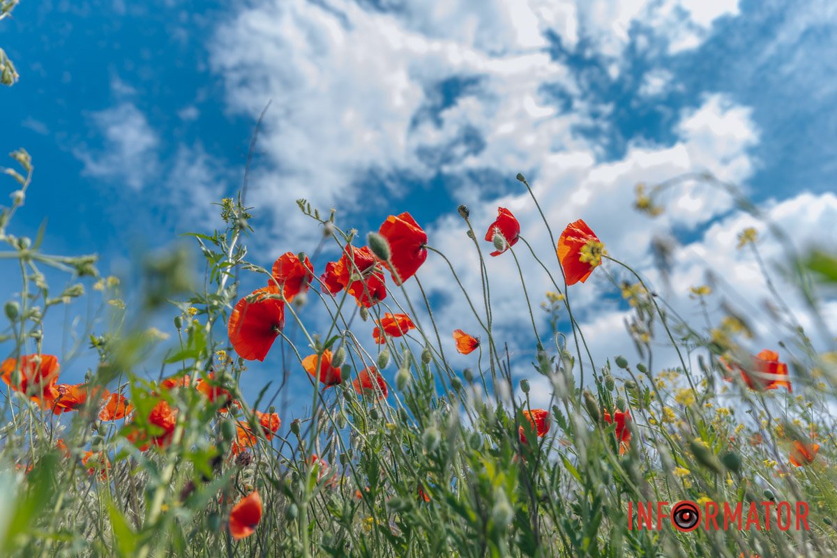 А ви любите дивитися на небо?