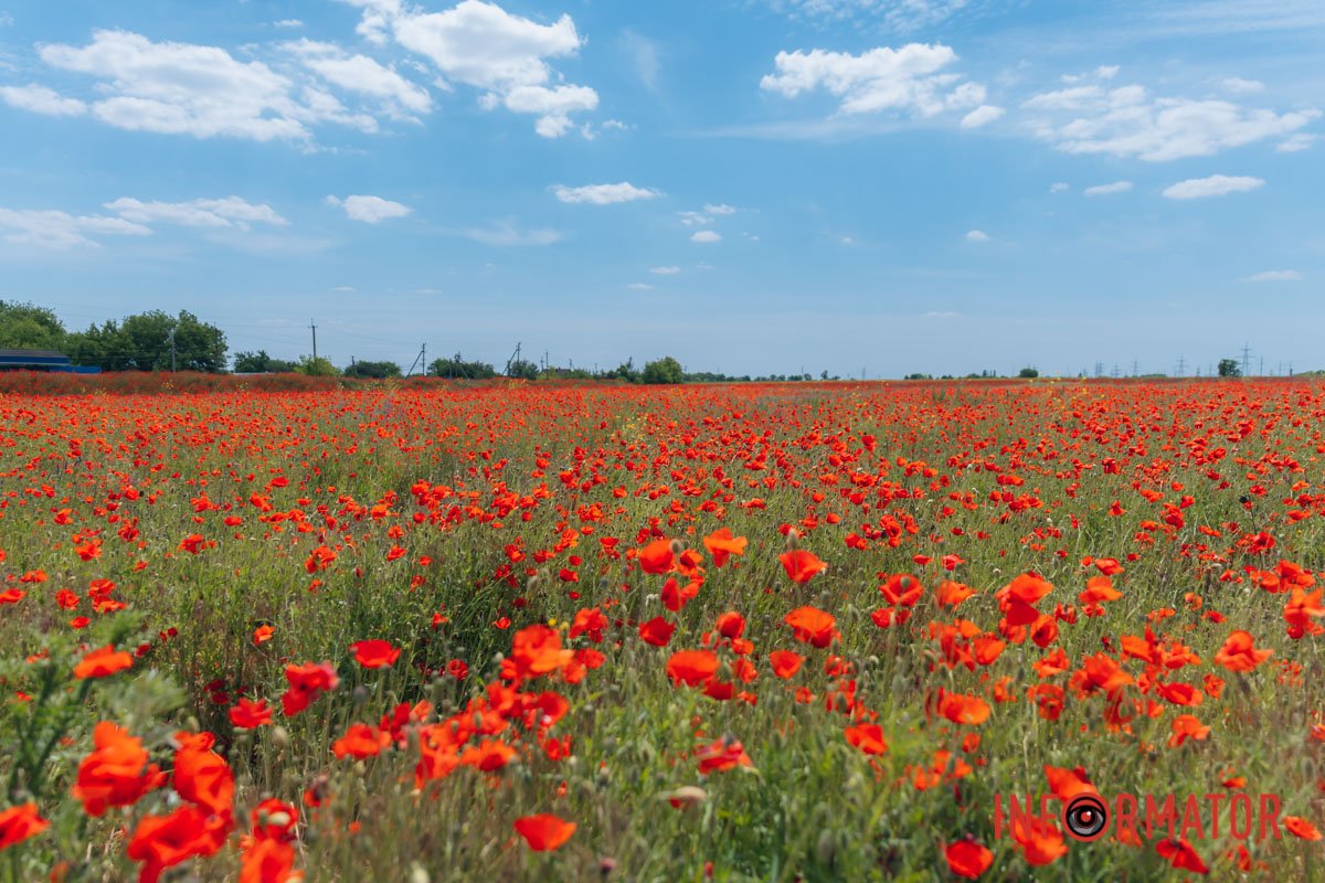 Дніпровське небо