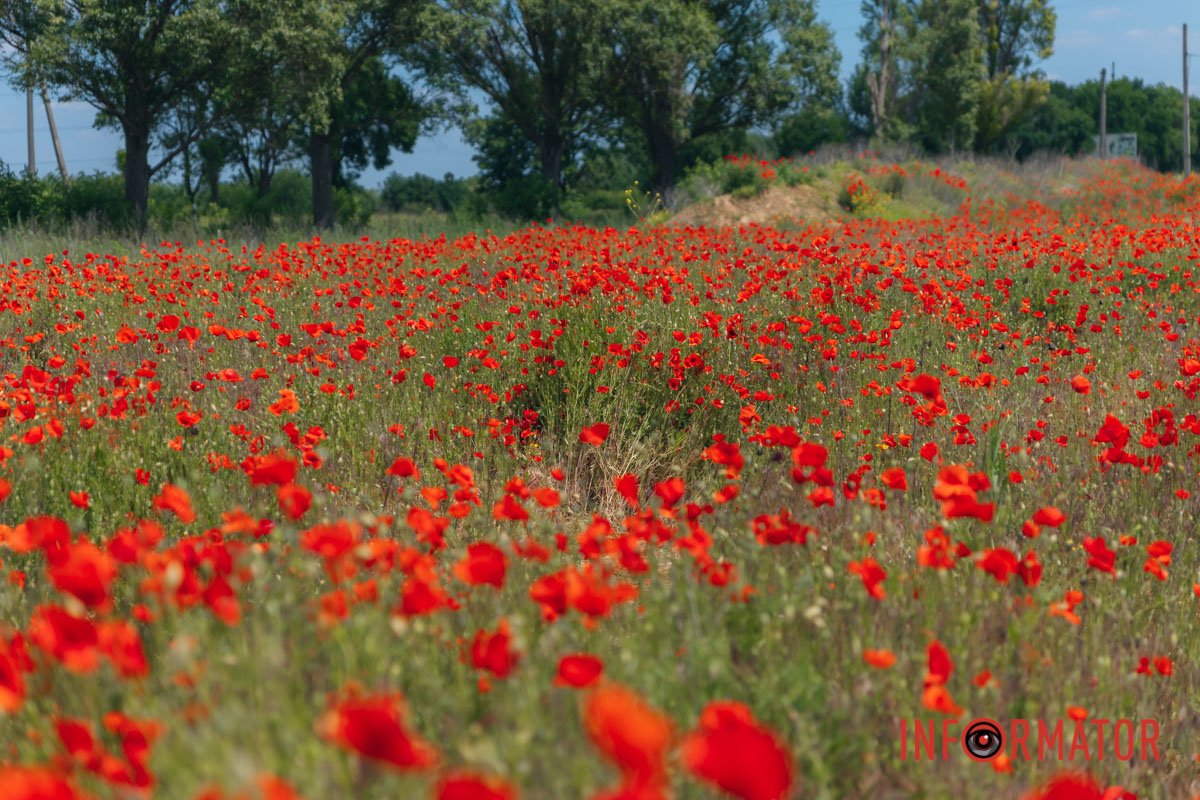 Неймовірне