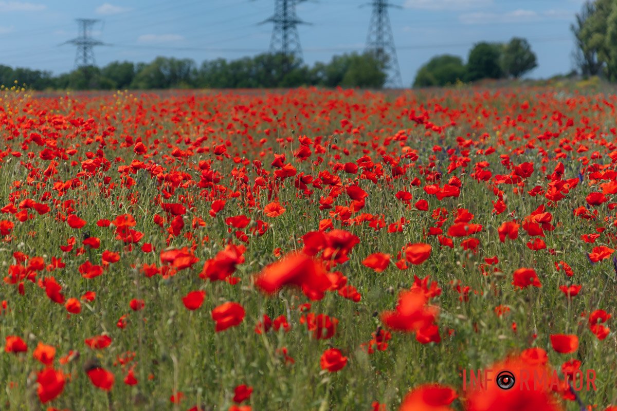 Важливо цінувати кожен момент
