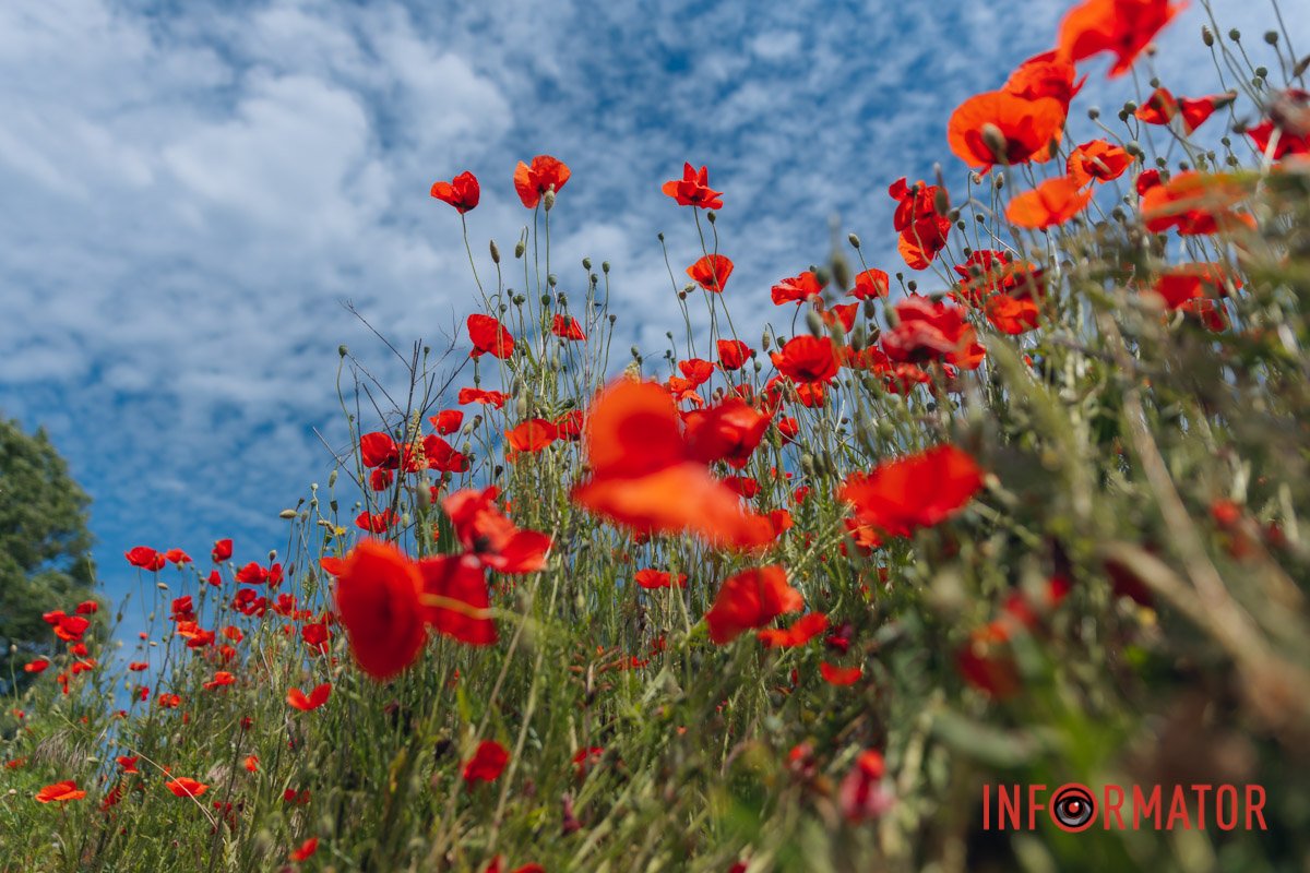 Прекрасне поблизу вас