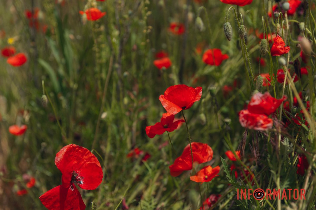 У Дніпрі можна знайти незвичні місця