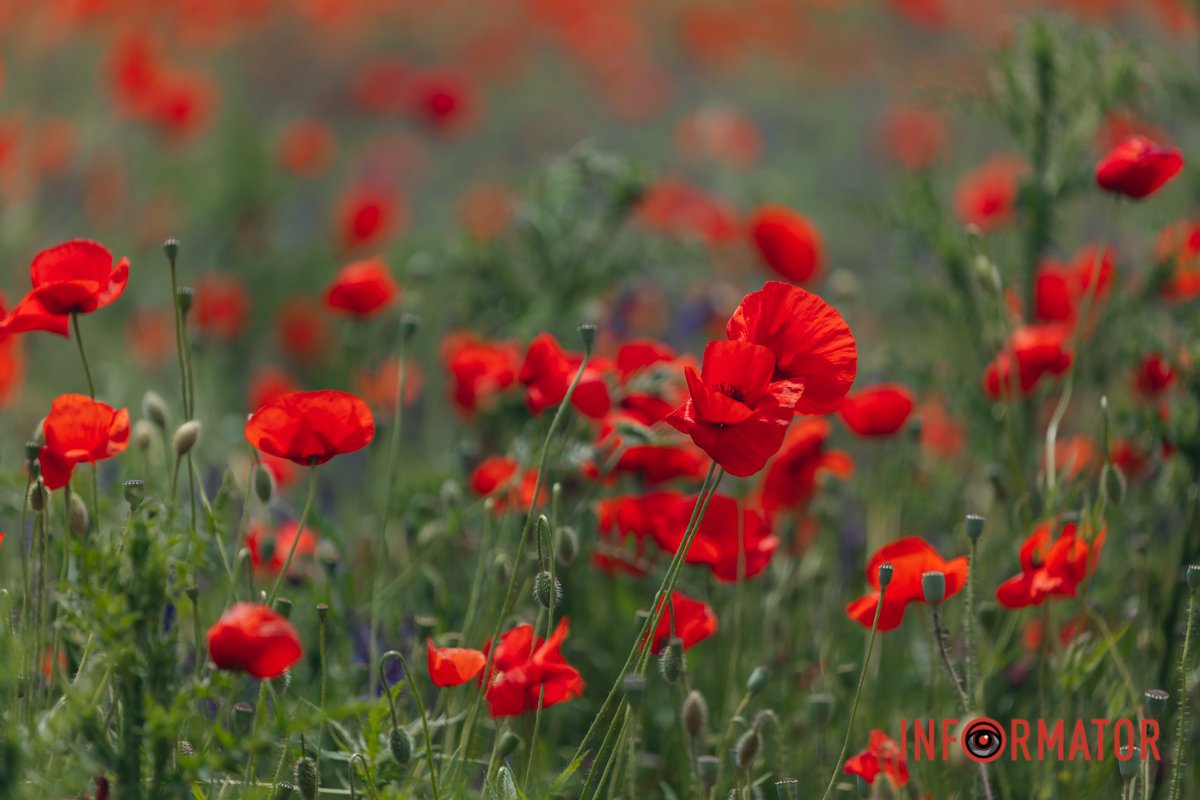 Звертайте увагу