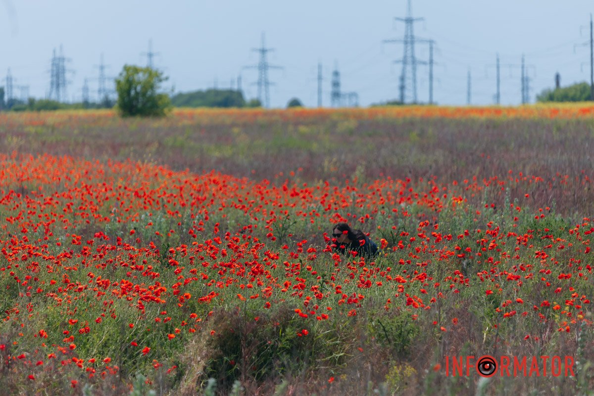 Хтось також полює за фотографіями