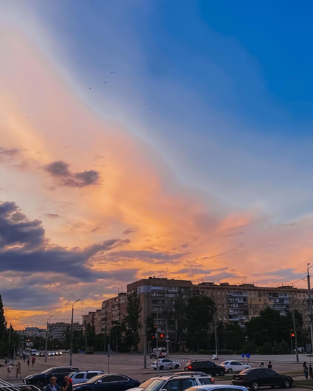 Фото: @hamster_dp_ua Фото: @hamster_dp_ua