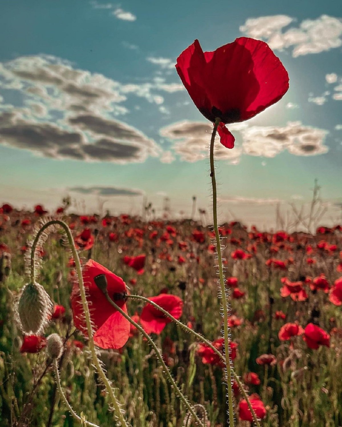 Фото: @nikitos161331 Фото: @nikitos161331