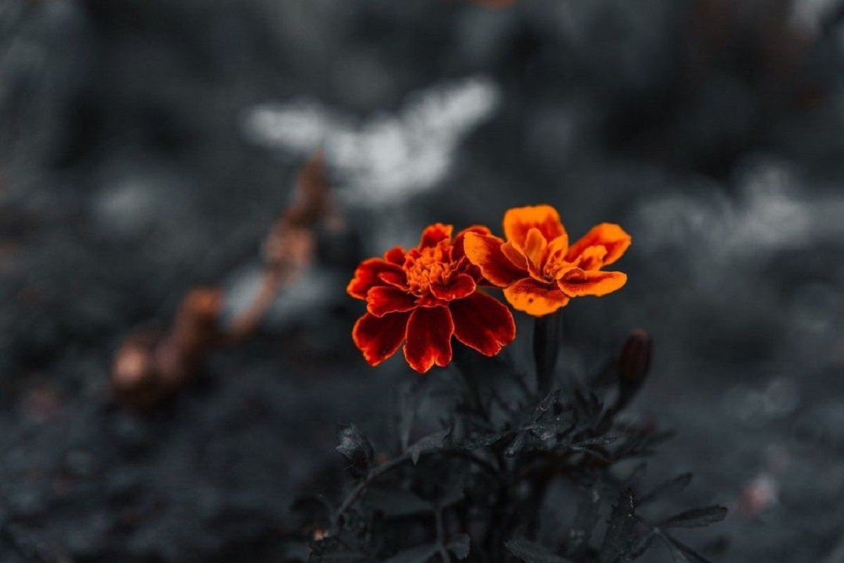 Фото: @_stepanov_photos_ Фото: @_stepanov_photos_