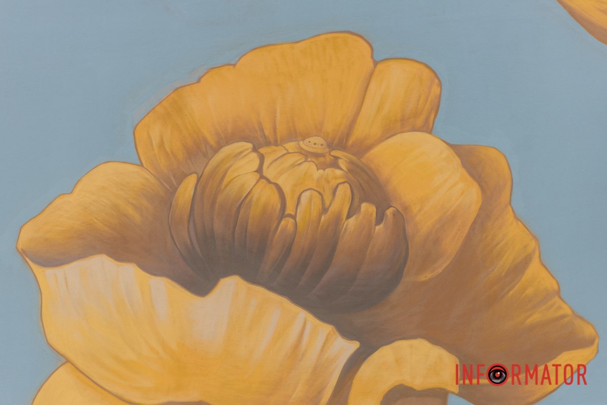 Роздивіться усі лінії 