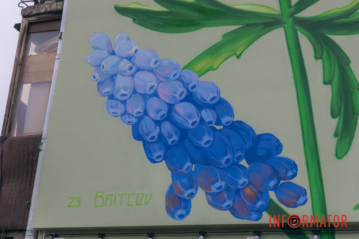 Нагадують мускарі