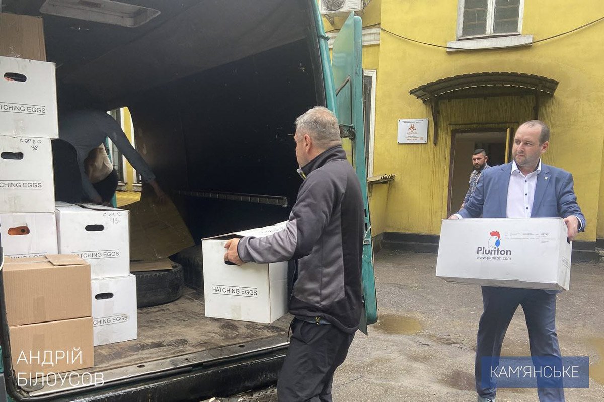 Генератори, спальні мішки