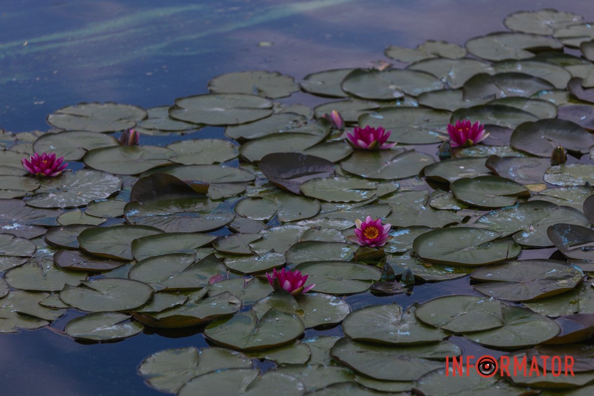 Фото: Денис Чубченко