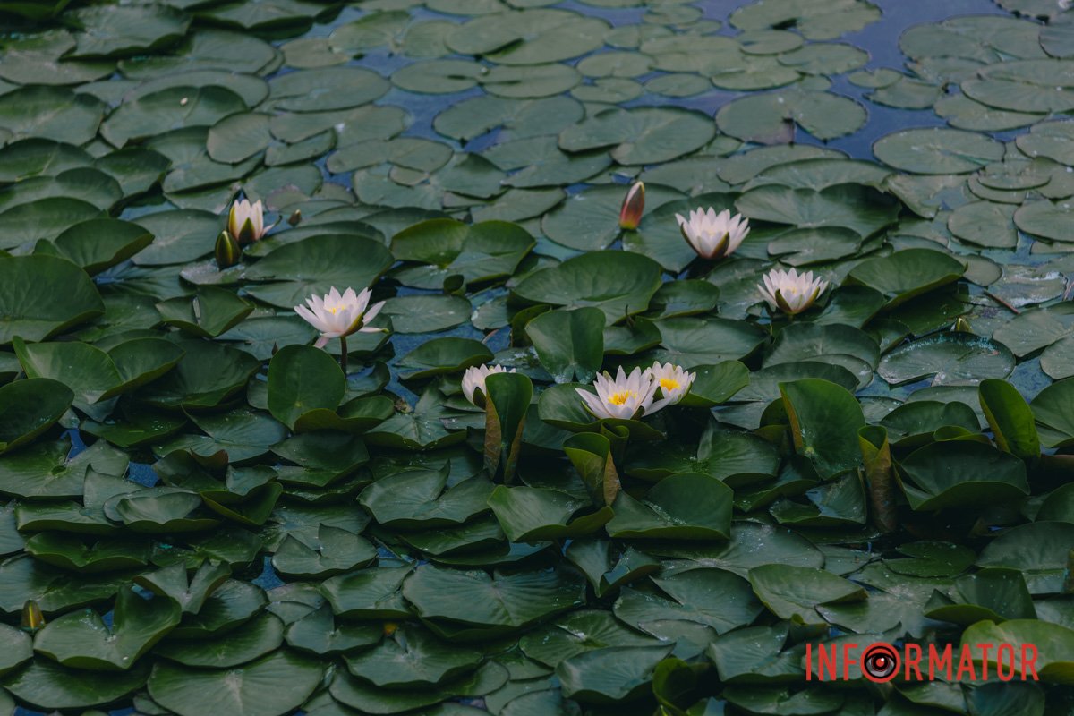 Ви знаєте, в кого найкращі кадри