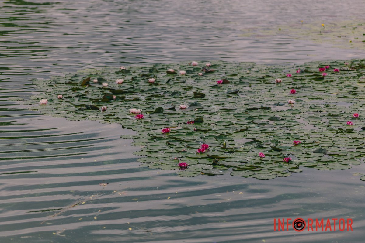 Наші оператори стараються для вас