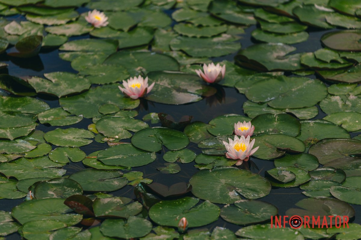 Можна "залипнути"