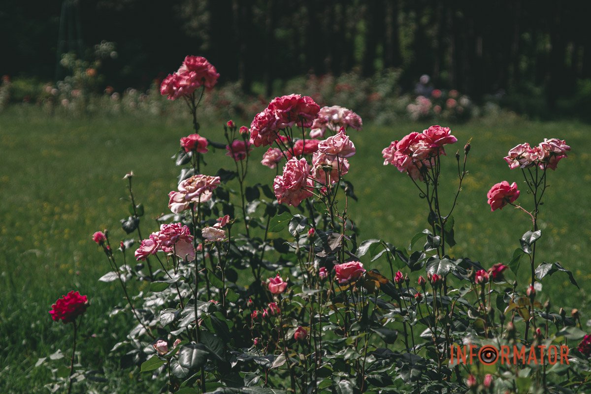 Зробити фото на згадку