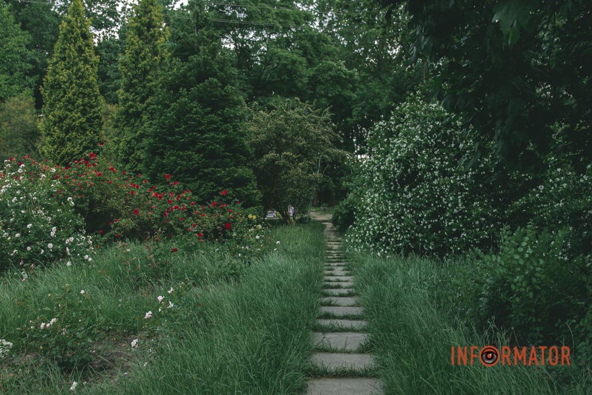 Єдиний у Дніпрі ботанічний сад