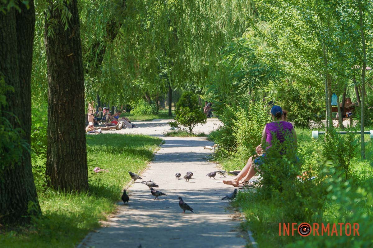 Часті гості міста