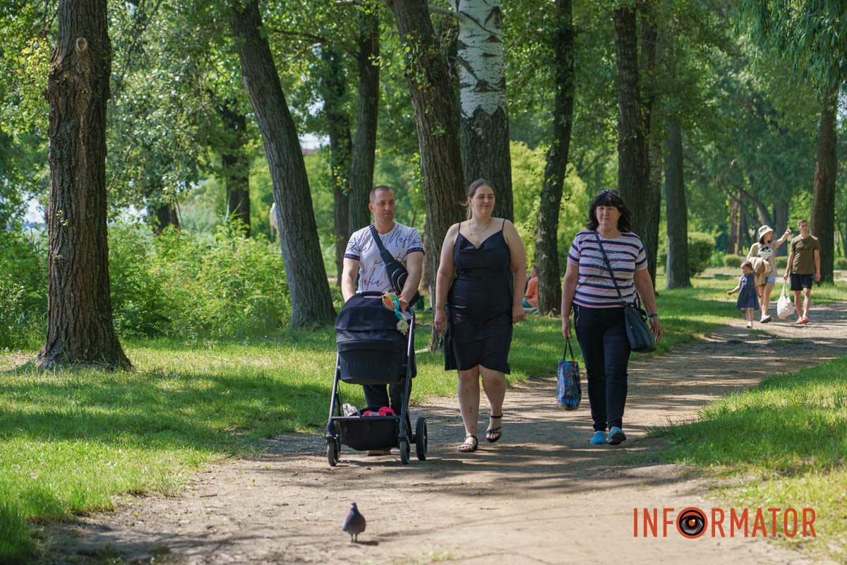 Голуб — check