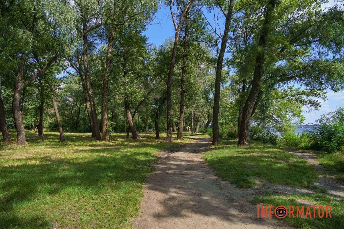 Кажуть, що зелений колір розслабляє 