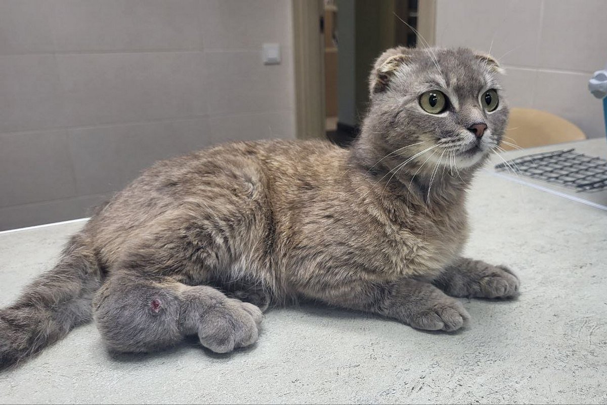 Позивний "Кетчуп"