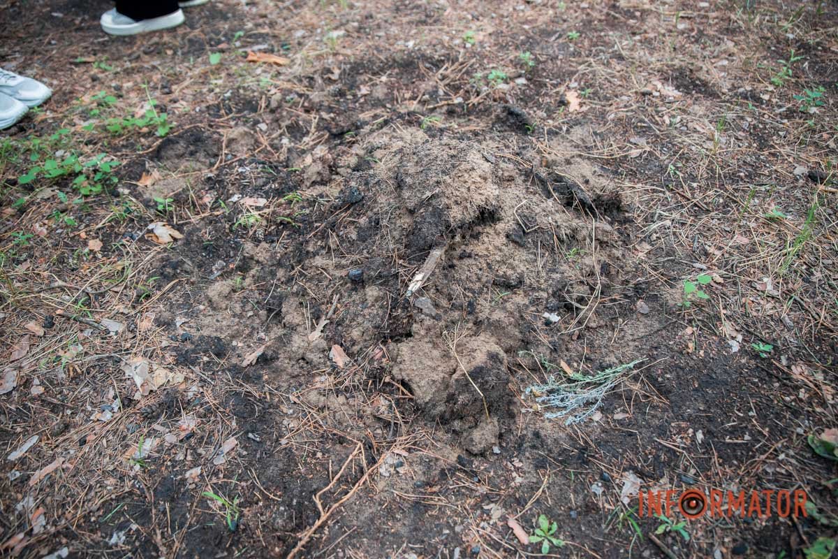 Бережіть ліс