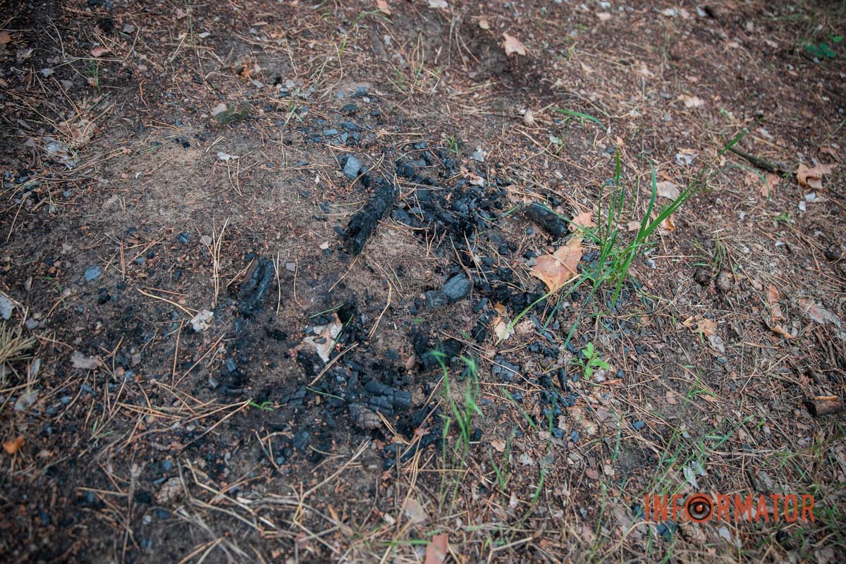 Не потрібно шкодити довкіллю