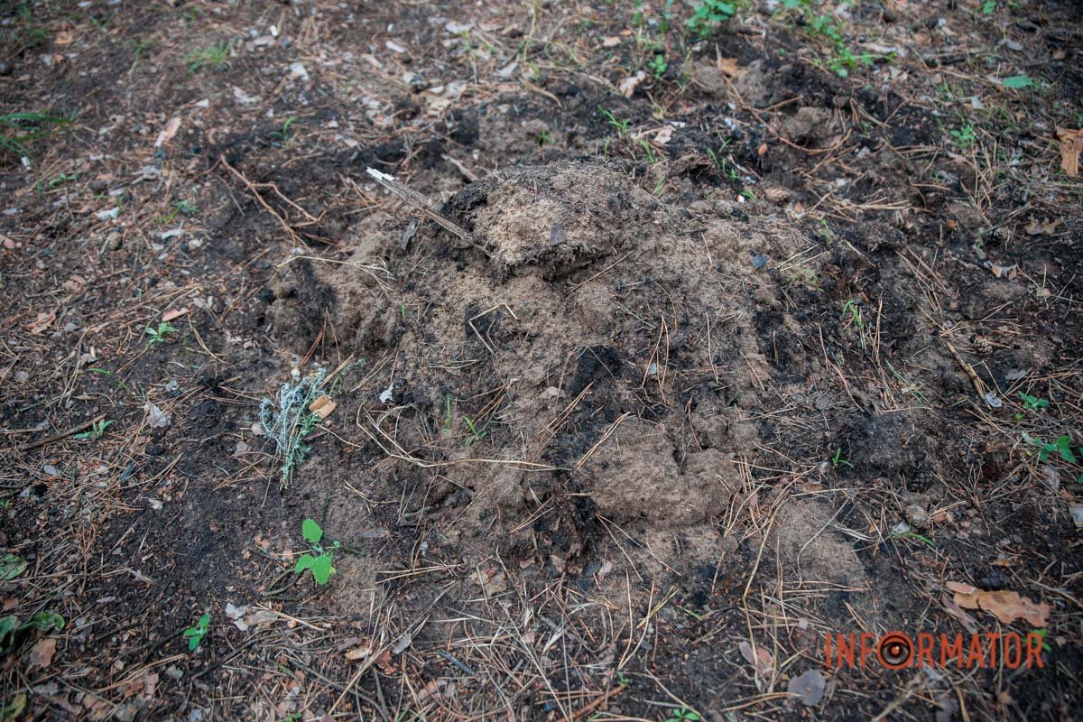 Те, що залишилось від вогнища