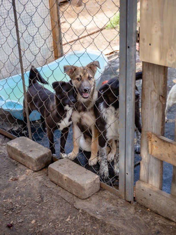 Чекає на тебе