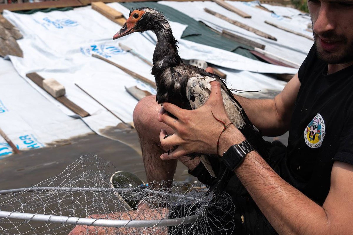 З опорного пункту тваринок везуть у різні куточки країни