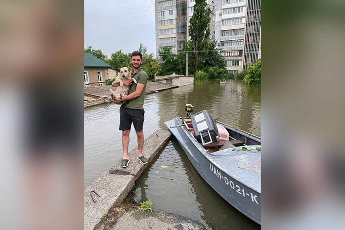 П’ятдесятьох чотирилапих забрали у Дніпро