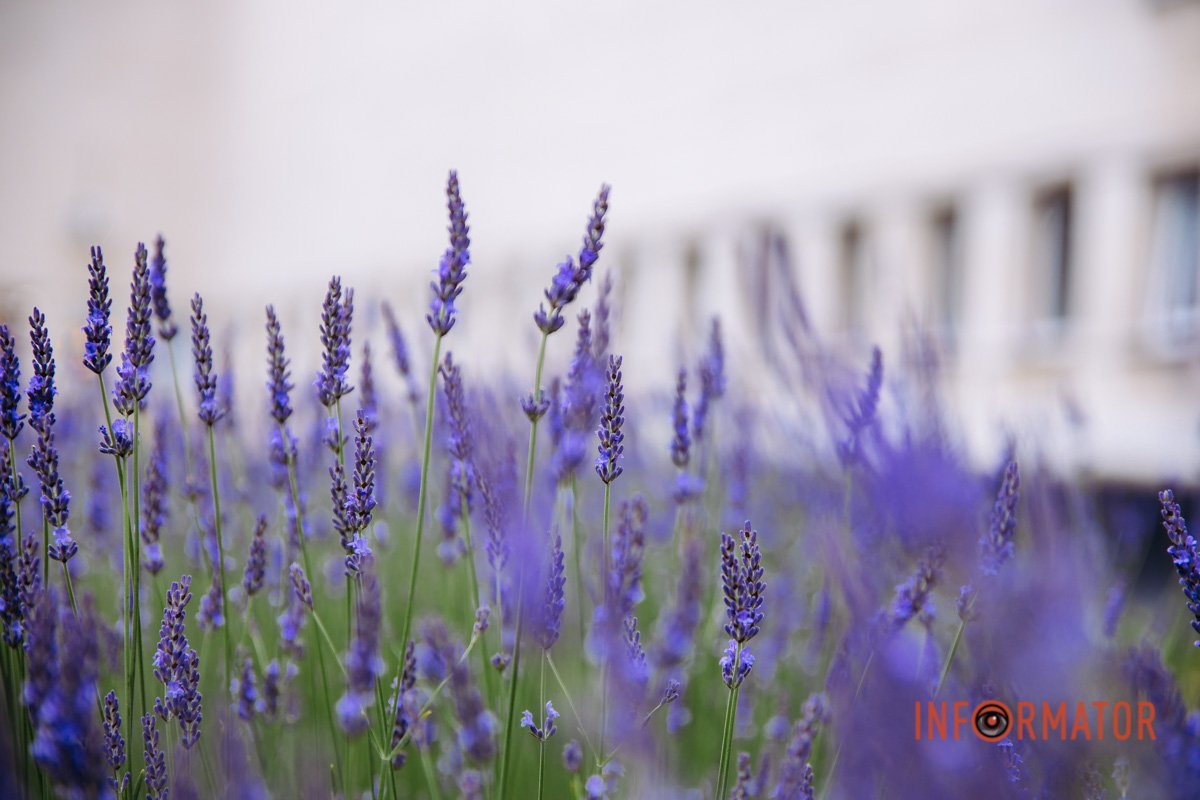 Романтично