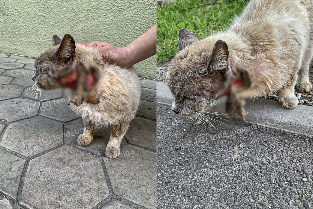 Йому потрібна ваша допомога