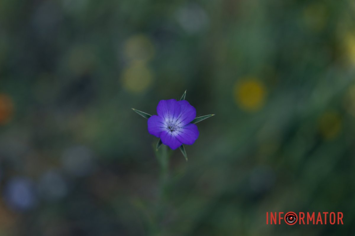 Хочеться насолодитися моментом