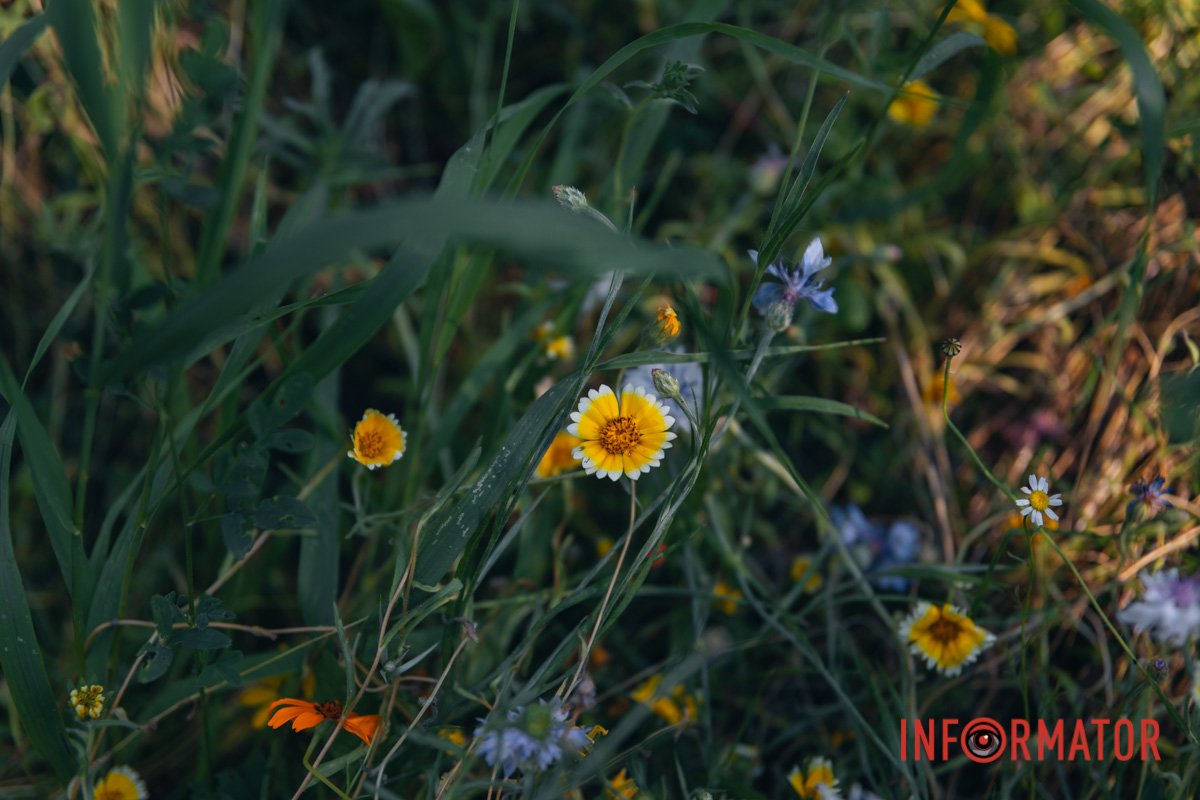 Поєднання кольорів