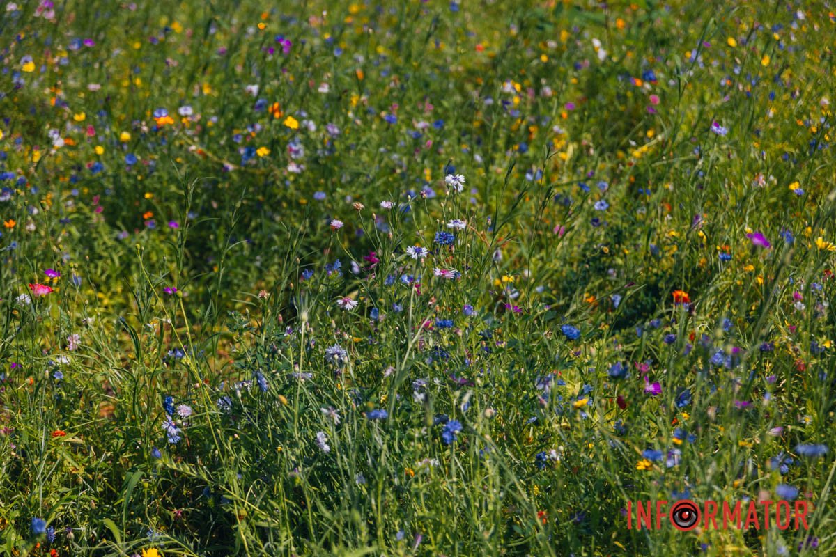 Мріємо про мирне небо