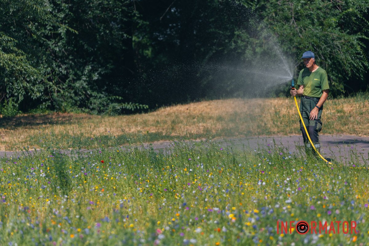 Робота на свіжому повітрі 